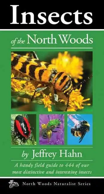 Insects of the North Woods - Paperback