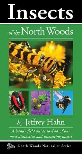 Insects of the North Woods - Paperback