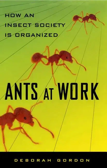 Ants at Work: How an Insect Society Is Organized - Paperback