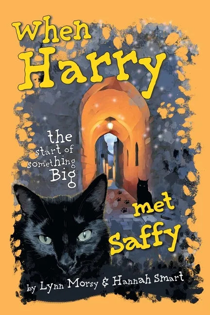 When Harry Met Saffy: The Start of Something Big - Paperback