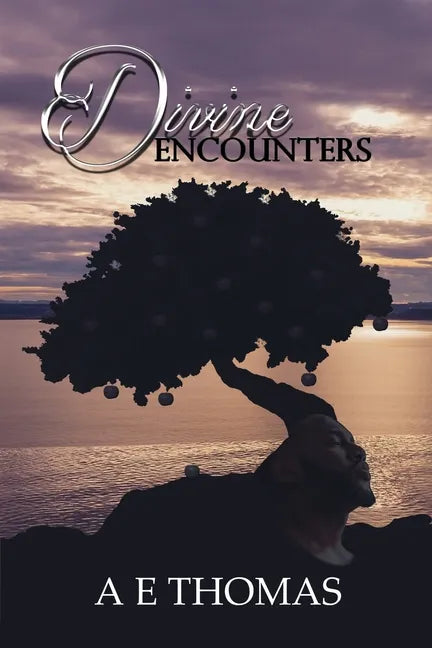 Divine Encounters - Paperback