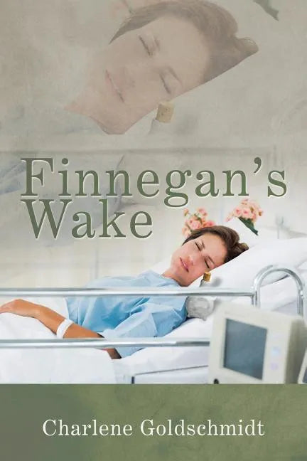 Finnegan's Wake - Paperback