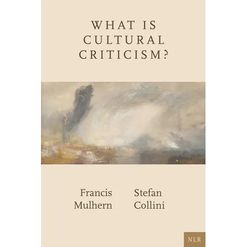 What Is Cultural Criticism? - Paperback