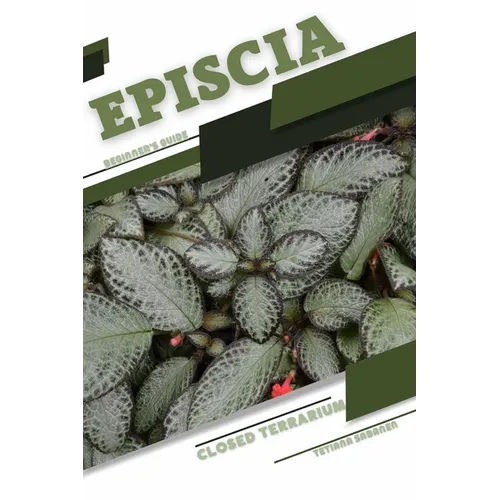 Episcia: Closed terrarium, Beginner's Guide - Paperback