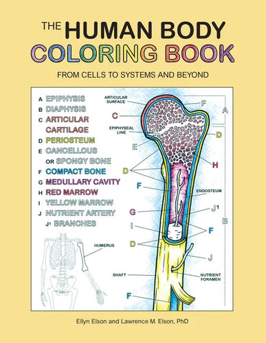 The Human Body Coloring Book: From Cells to Systems and Beyond - Paperback