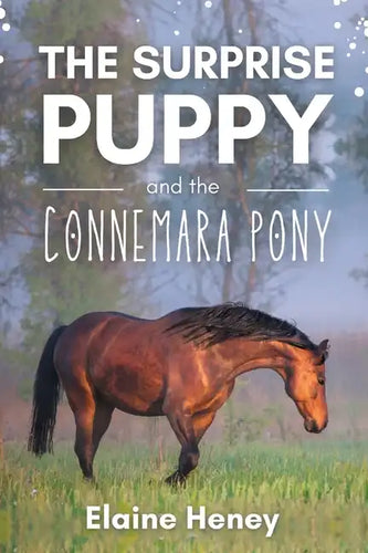 The Surprise Puppy and the Connemara Pony - The Coral Cove Horses Series - Paperback