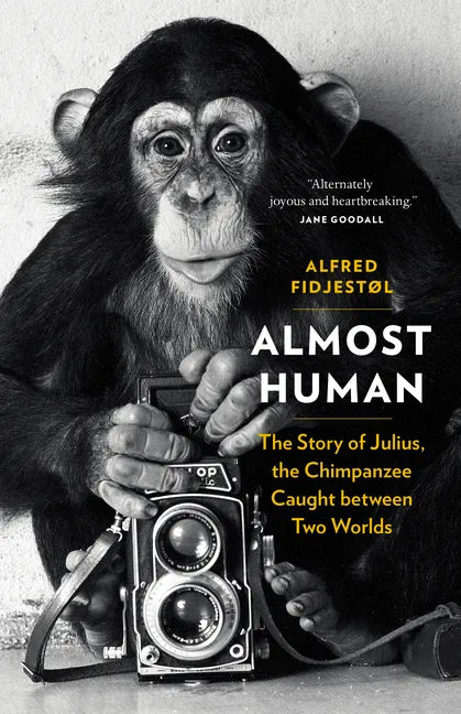 Almost Human: The Story of Julius, the Chimpanzee Caught Between Two Worlds - Hardcover