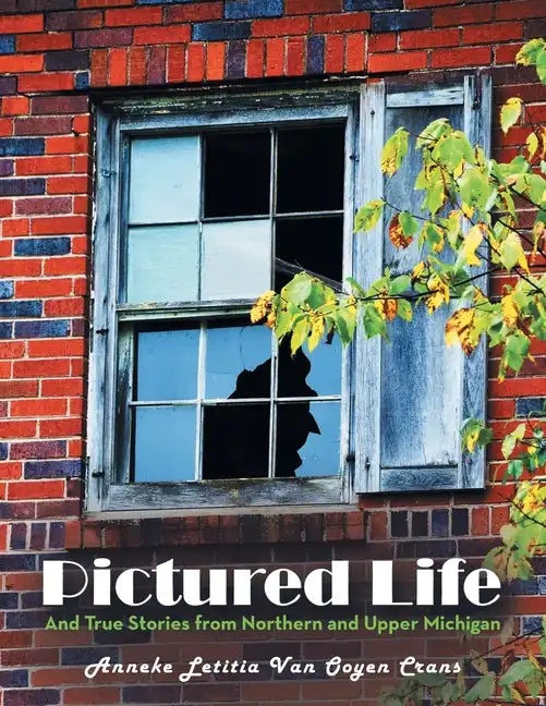Pictured Life: And True Stories from Northern and Upper Michigan - Paperback