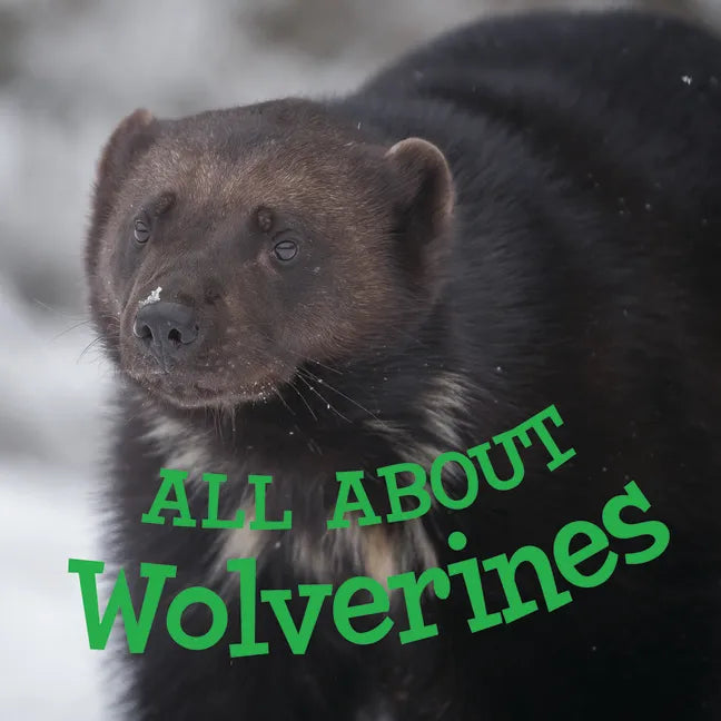 All about Wolverines: English Edition - Paperback