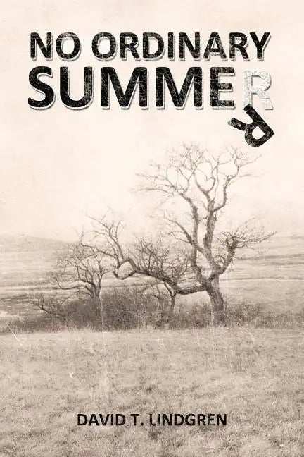 No Ordinary Summer - Paperback