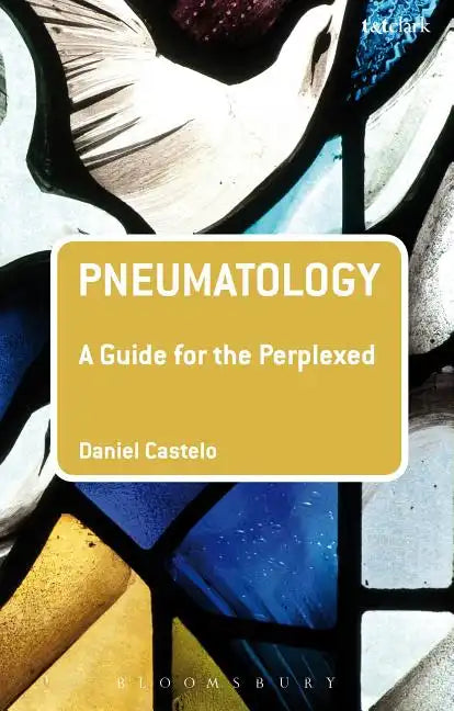 Pneumatology: A Guide for the Perplexed - Paperback