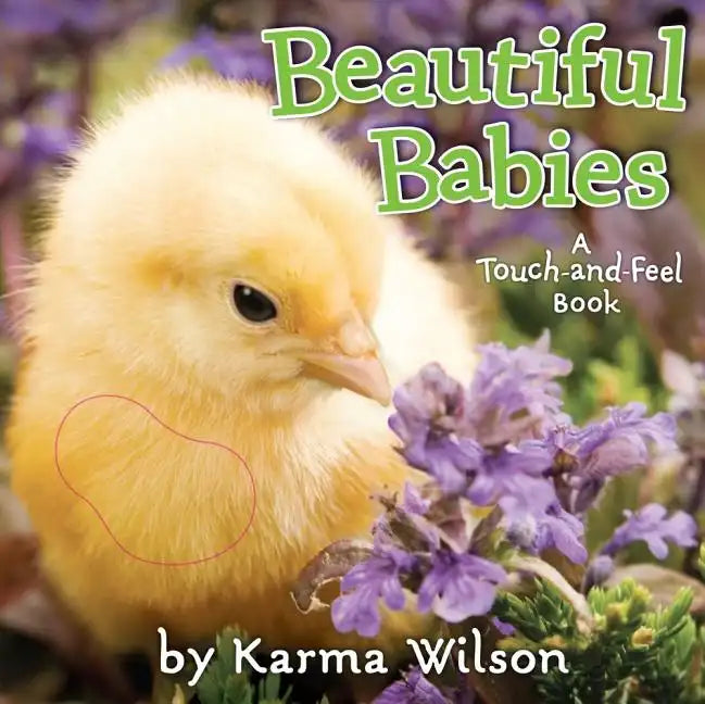 Beautiful Babies - Board Book