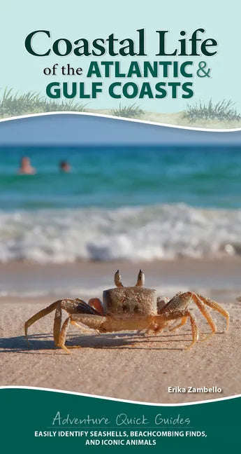 Coastal Life of the Atlantic and Gulf Coasts: Easily Identify Seashells, Beachcombing Finds, and Iconic Animals - Spiral