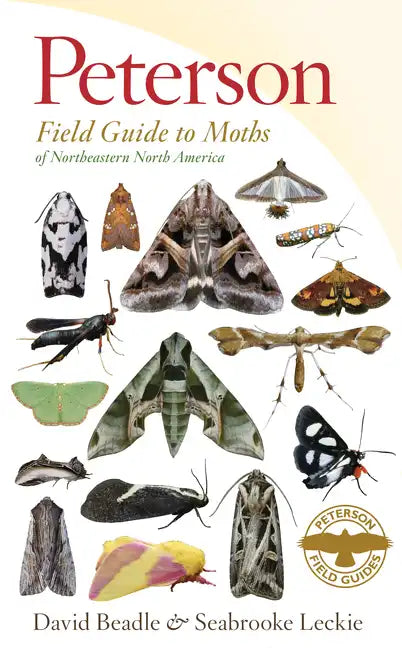 Peterson Field Guide to Moths of Northeastern North America - Paperback