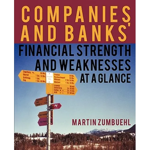 Companies and Banks' Financial Strength and Weaknesses at a Glance - Paperback