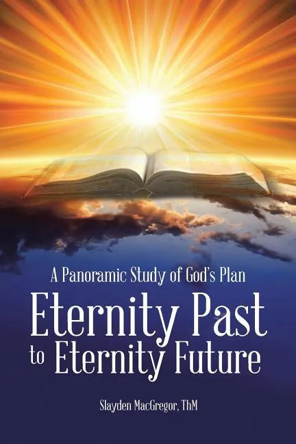 A Panoramic Study of God's Plan: Eternity Past to Eternity Future - Paperback