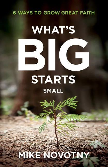 What's Big Starts Small - Hardcover