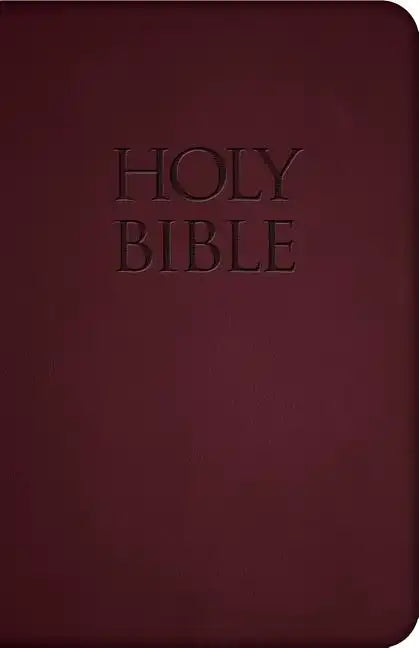 Holy Bible-Nab - Imitation Leather