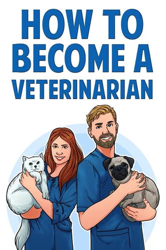 How to Become a Veterinarian - Paperback