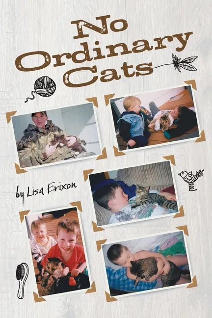 No Ordinary Cats - Paperback
