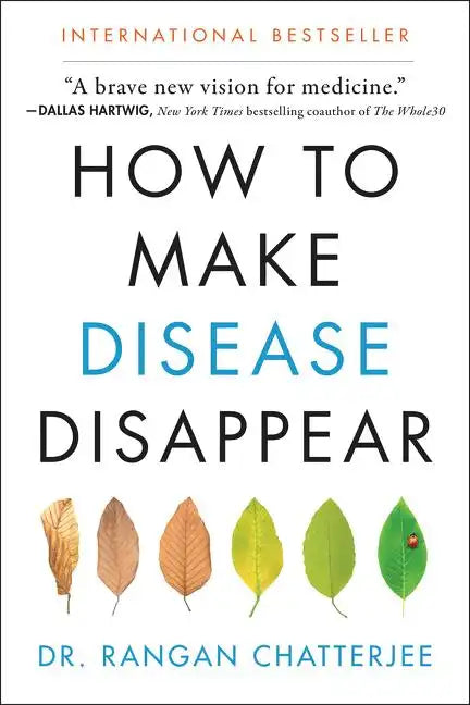 How to Make Disease Disappear - Paperback