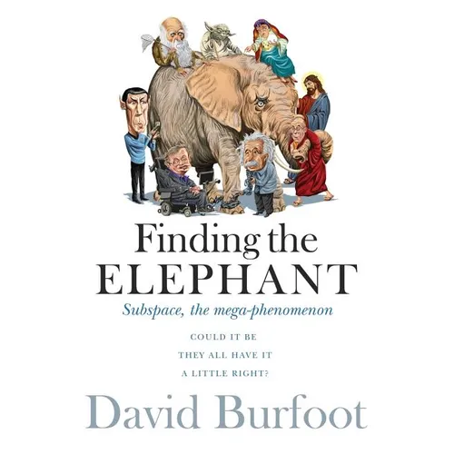 Finding the Elephant: Subspace, the Mega-phenomenon - Paperback