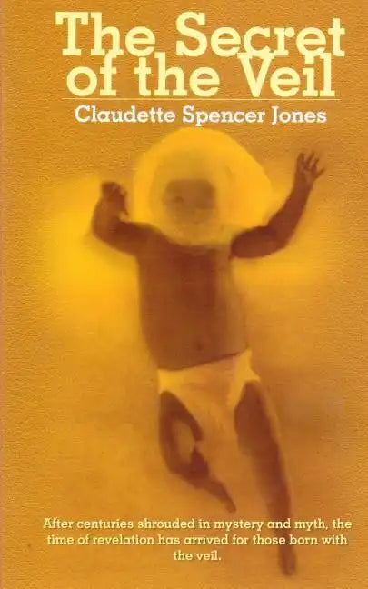 The Secret of the Veil - Paperback