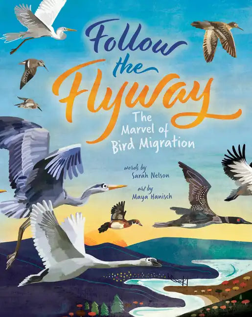 Follow the Flyway: The Marvel of Bird Migration - Paperback