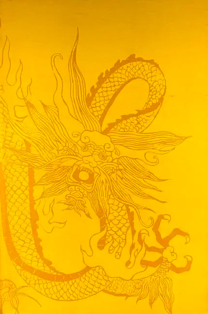 The Confucian Persuasion - Hardcover
