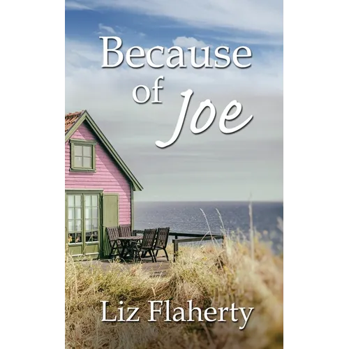 Because of Joe - Paperback