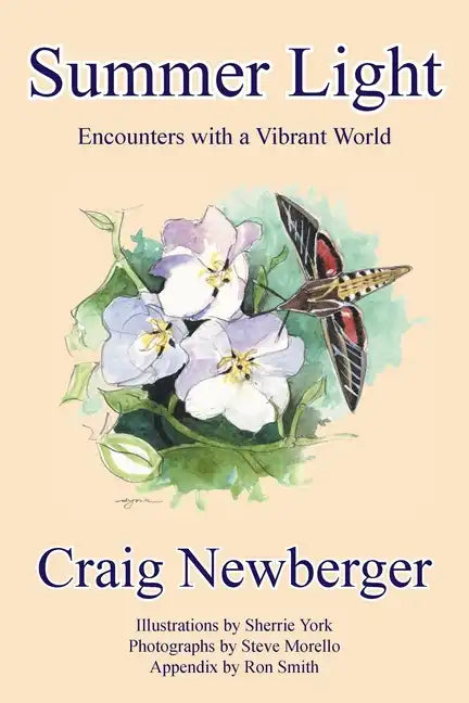 Summer Light: Encounters with a Vibrant World - Paperback