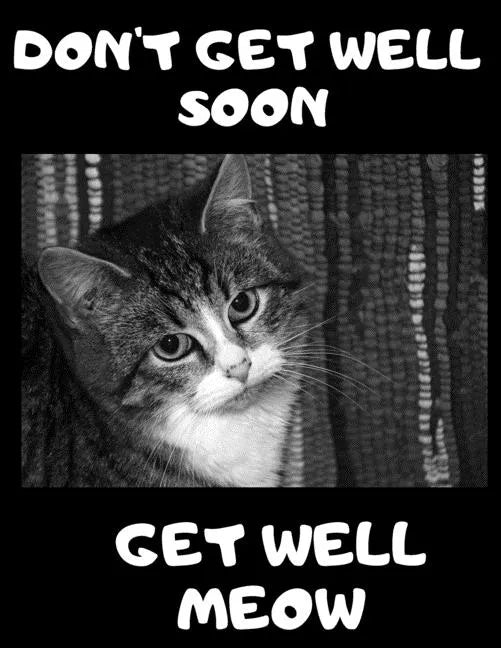 Don't Get Well Soon Get Well Meow: 100 Easy Sudoku Puzzle Large Print Book - Cute Kitten Funny Get Well Gift For Women After Surgery - Paperback