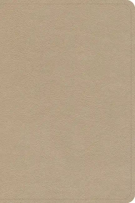 CSB Large Print Compact Reference Bible, Gold Leathertouch - Imitation Leather