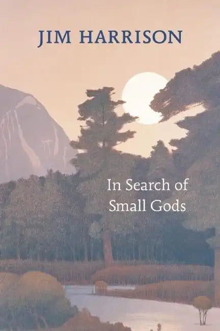 In Search of Small Gods - Paperback