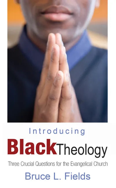 Introducing Black Theology - Hardcover