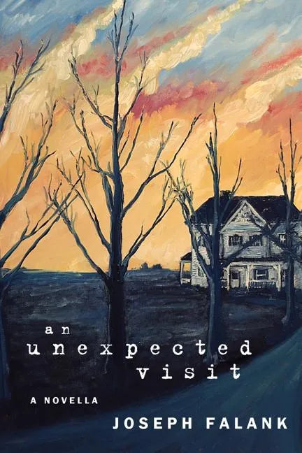 An Unexpected Visit - Paperback