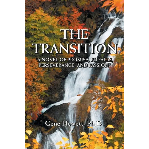The Transition 