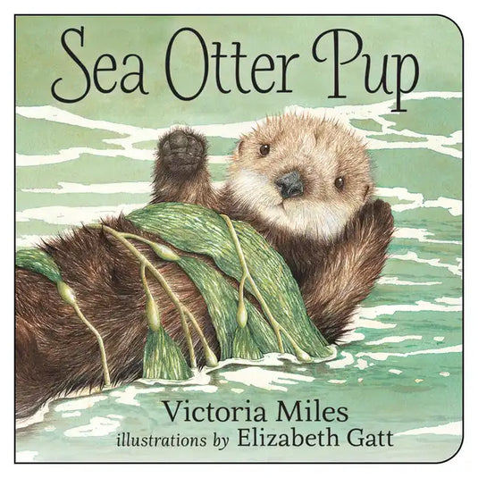 Sea Otter Pup - Board Book