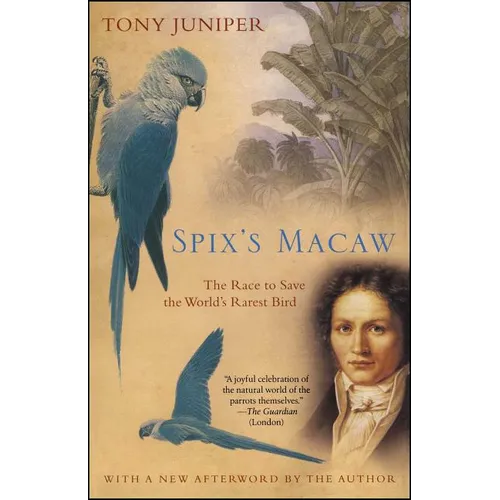 Spix's Macaw: The Race to Save the World's Rarest Bird - Paperback