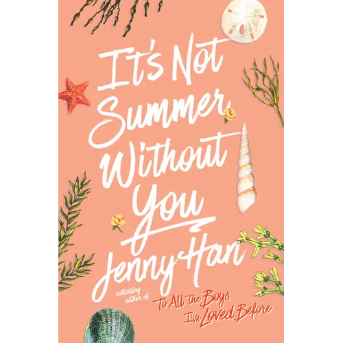 It's Not Summer Without You - Library Binding