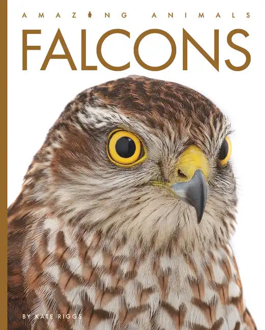Falcons - Paperback
