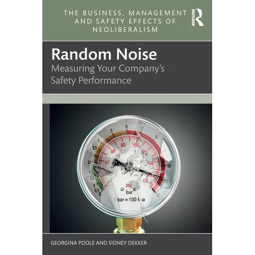 Random Noise: Measuring Your Company's Safety Performance - Paperback