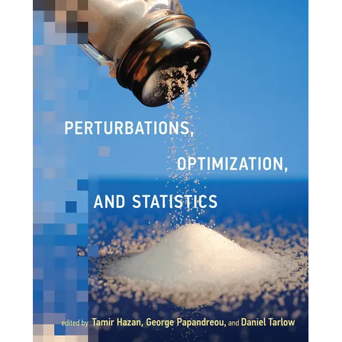 Perturbations, Optimization, and Statistics - Paperback