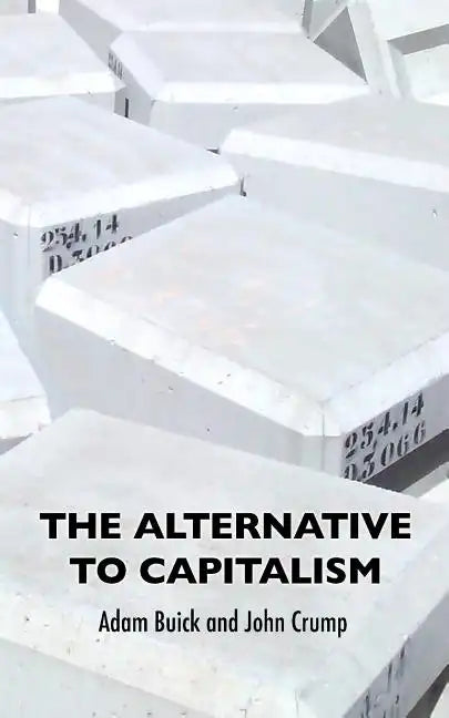 The Alternative To Capitalism - Paperback