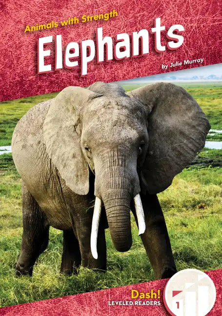 Elephants - Library Binding