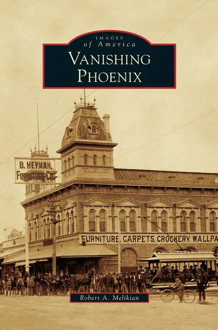 Vanishing Phoenix - Hardcover