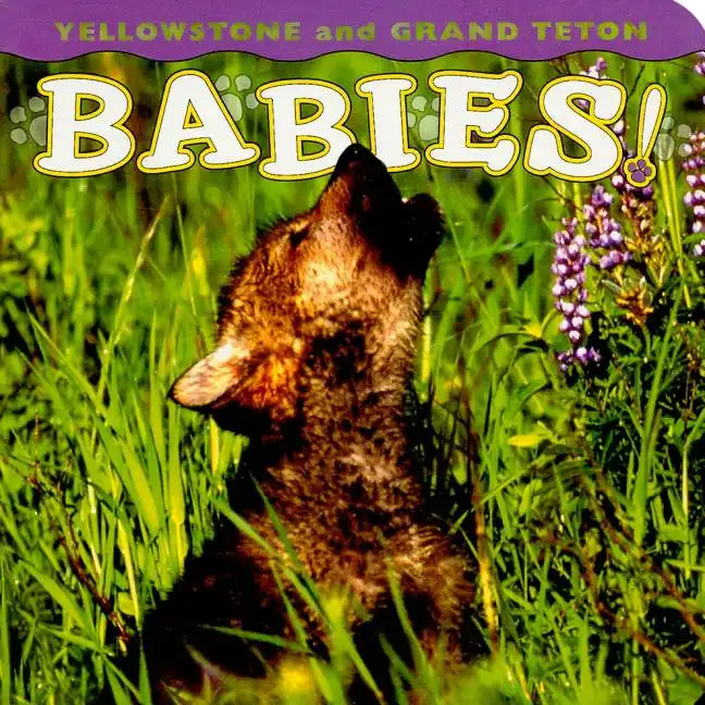 Yellowstone and Grand Teton Babies! - Board Book