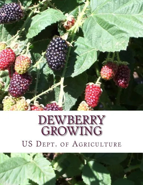 Dewberry Growing: Farmers' Bulletin 1403 - Paperback