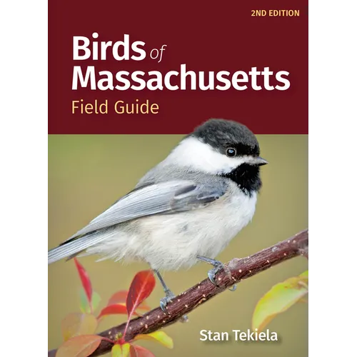 Birds of Massachusetts Field Guide - Paperback