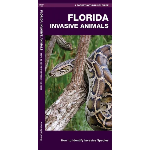 Florida Invasive Animals: How to Identify Invasive Species - Paperback